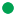 丸大緑