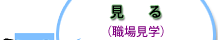 見る（職場見学）