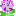 6月あじさい